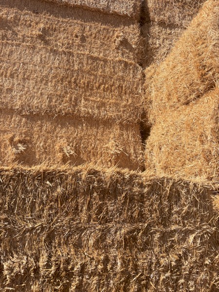 300mt Barley Straw 540kg 8x4x3 Bales