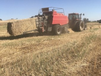 Massey Ferguson 2190 Large Square Baler