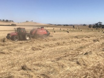 Massey Ferguson 2190 Large Square Baler