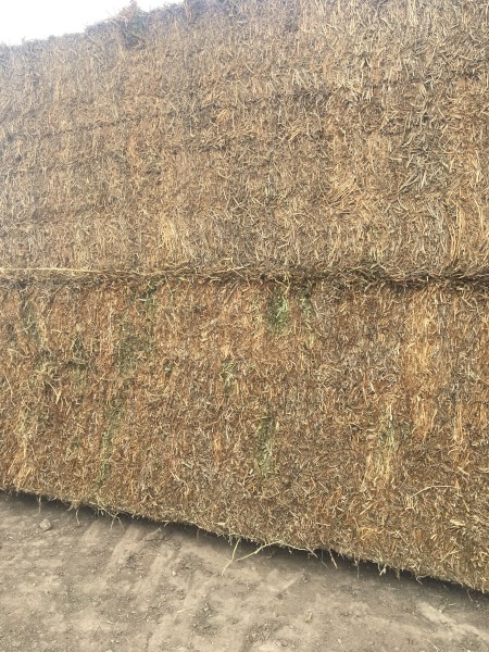 500mt Vetch Hay 625kg 8x4x3 Bales