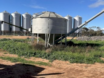30t Macey PTO Field Bin