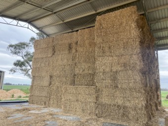 Shedded Wheaten Straw