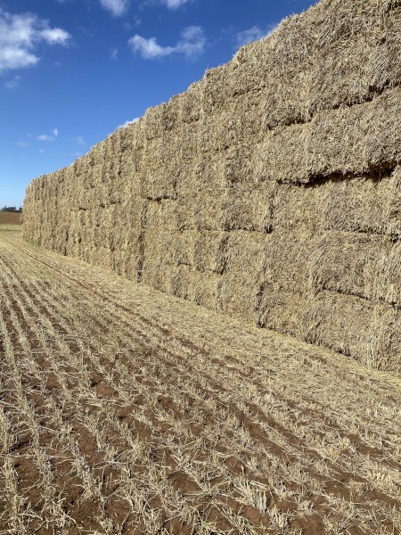 154mt Wheaten Hay 8x4x3 Bales