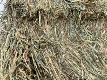 300mt Beardless Wheaten Hay 8x4x3 Bales
