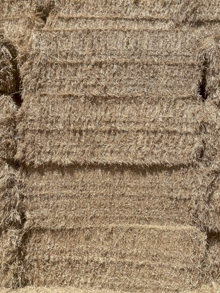 Clover & Rye Hay & Fodder 8x4x3 Bales