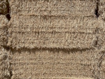 Clover & Rye Hay & Fodder 8x4x3 Bales