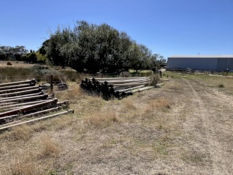Irrigation pipes