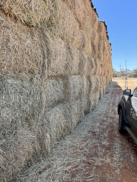 Wheaten hay 8x4x3 Bales