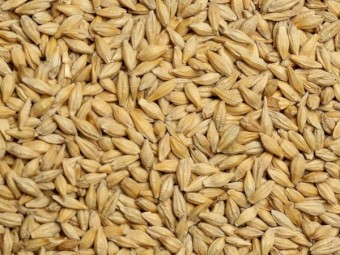3000mt BAR 2/3 Barley