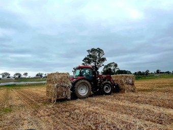 Case Maxxum 115 Tractor