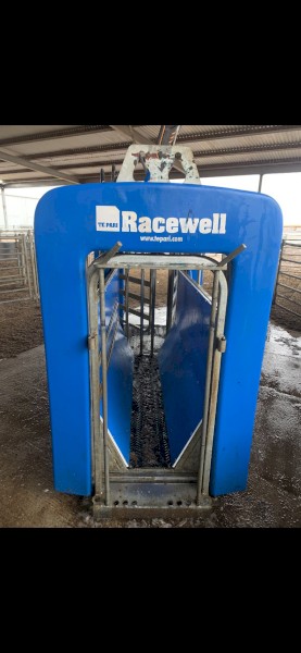 DR 3 Tepari 3 way weighing machine 2019 model 