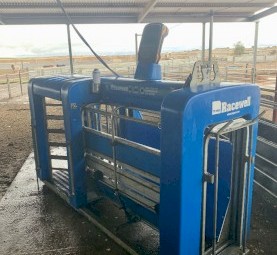 DR 3 Tepari 3 way weighing machine 2019 model 