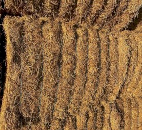 Lentil straw 
