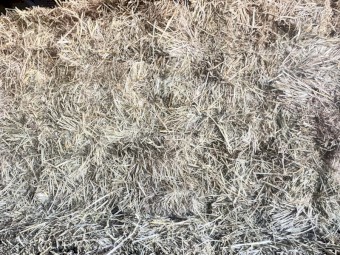 Hay moby barley rye and clover in bale baron packs