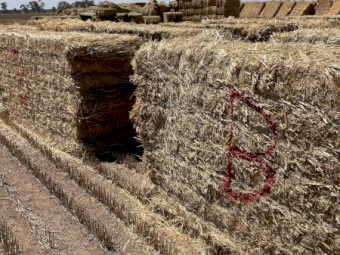 Oaten Hay Bottom bales