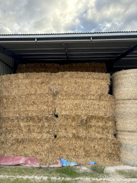 200mt Oaten Hay 8x4x3 Bales