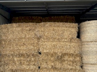 200mt Oaten Hay 8x4x3 Bales