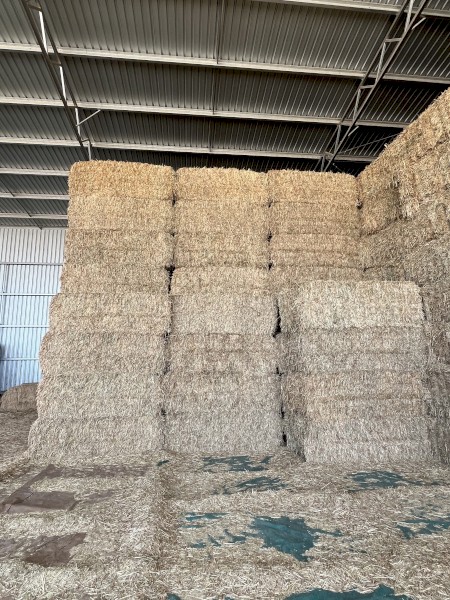 Oaten Hay