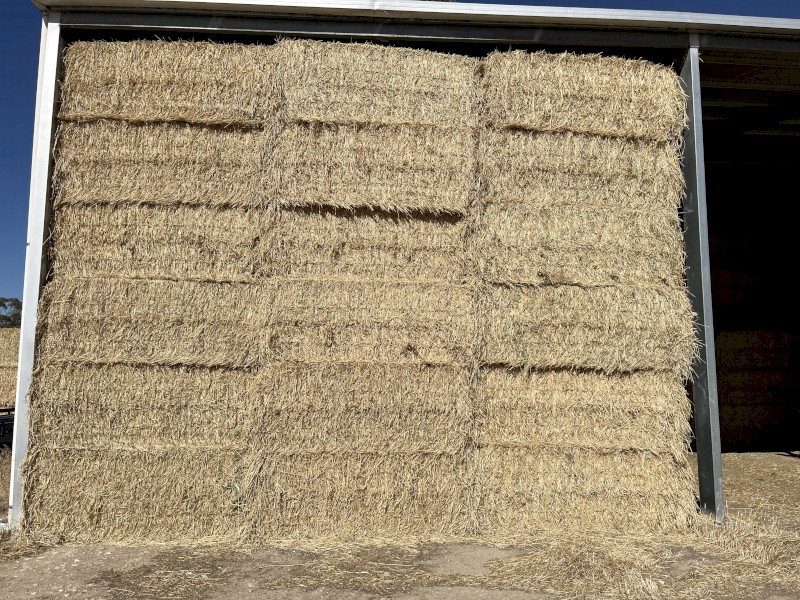 Barley and Lucerne Hay 8x4x3 Bales