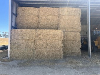 Barley and Lucerne Hay 8x4x3 Bales