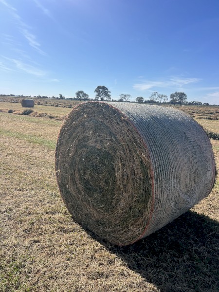 500 x Vetch and Clover Hay 5x4 Round Bales