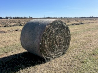 500 x Vetch and Clover Hay 5x4 Round Bales