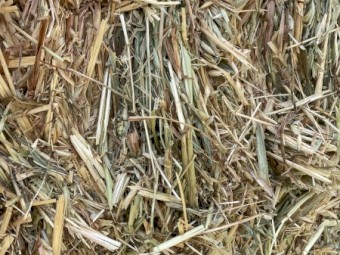 150mt Oaten Hay 600kg 8x4x3 Bales