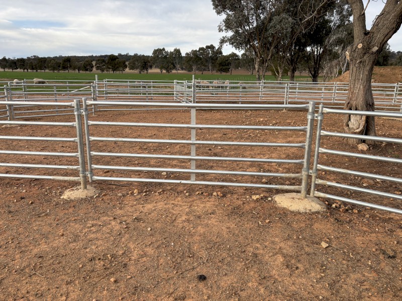 Permanent Sheep Yard Panels