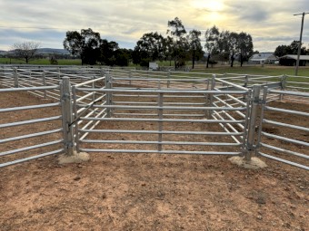 Permanent Sheep Yard Panels