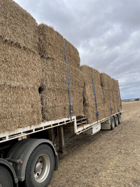 Barley straw header trainings