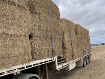 Barley straw header trainings