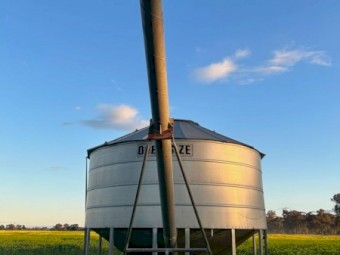 Macey Field Bin 
