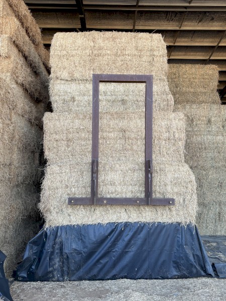 15 X Lucerne Hay 8x3x3 Bales