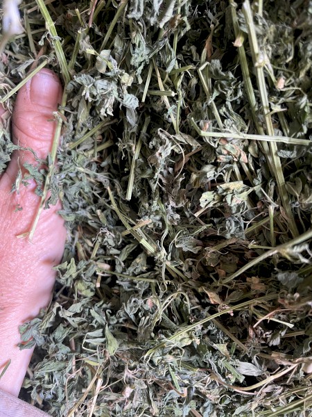 Fresh Prime Lucerne 