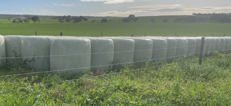 Oaten Silage Bales