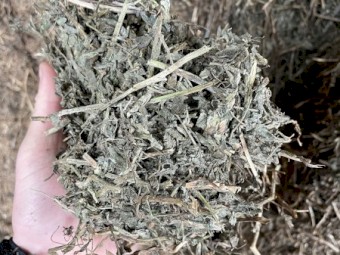 85mt Vetch Hay 8x4x3 Bales