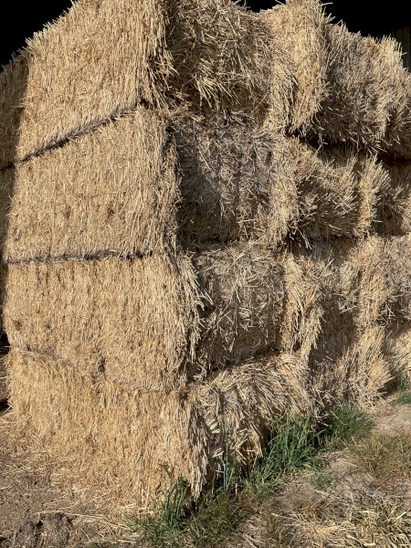 Wheaten and Oaten Straw