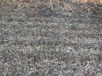90mt Lucerne Hay 8x4x3 Bales (20/21)
