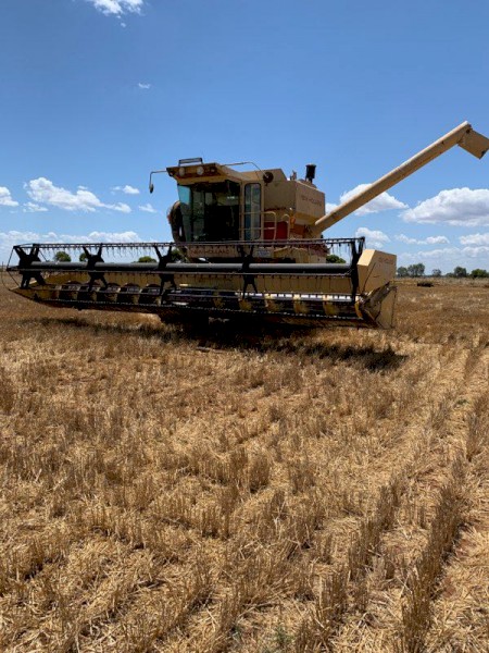 TR 85 harvester