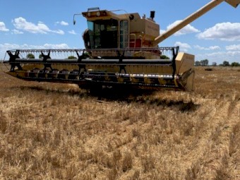 TR 85 harvester