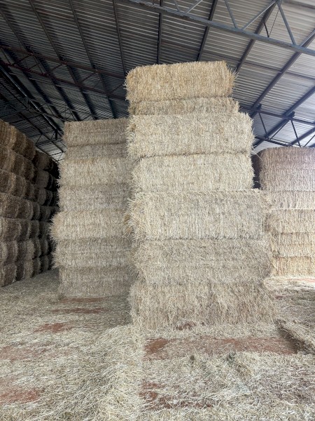 250mt Oaten Hay and Barley Hay 450-500kg 8x4x3 Bales
