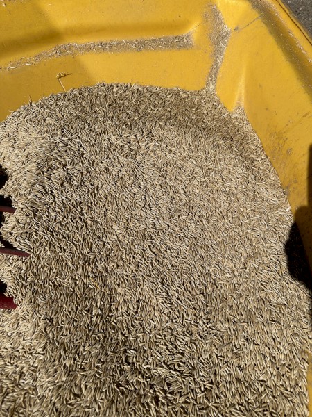 40-60mt Archer Oats