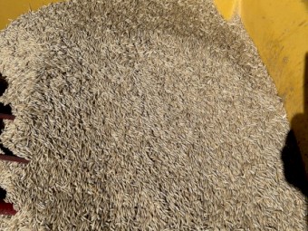 40-60mt Archer Oats