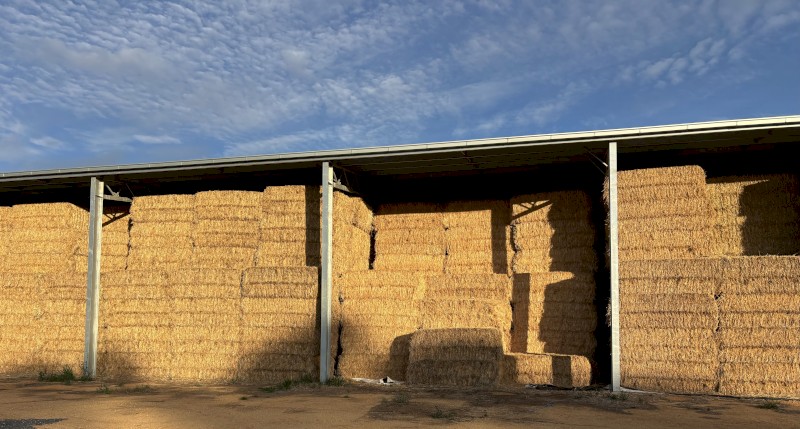 200mt Oaten Hay 8x4x3 Bales