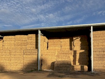 200mt Oaten Hay 8x4x3 Bales