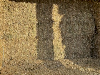 200mt Oaten Hay 8x4x3 Bales