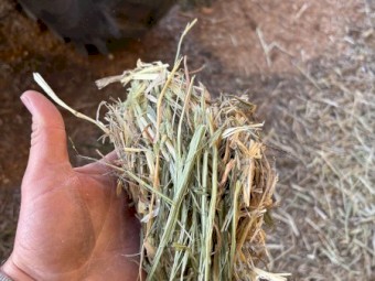 200mt Oaten Hay 8x4x3 Bales