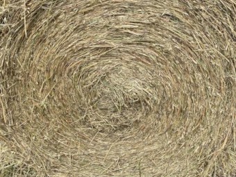 200 x Oaten Rye Silage 4x4 Rolls