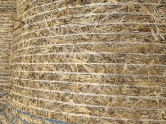 Oaten Hay Rolls
