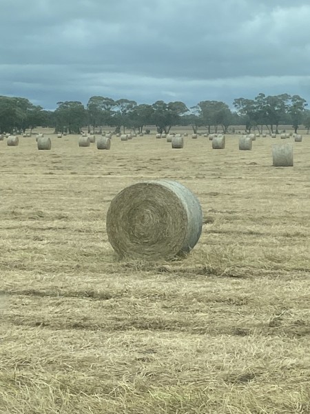 390 x Clover Hay 327kg 5x4 Rolls